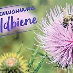 Appartement Wildbiene Lübbenau