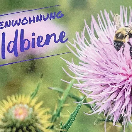 Appartement Wildbiene Lübbenau
